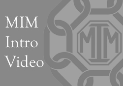 MIM-Video